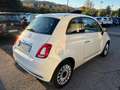 Fiat 500 1.2 Lounge 69cv *GPL 2032*NEOPATENTATI* Blanco - thumbnail 4