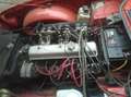 Triumph TR6 2500 6 cilindri overdrive Arancione - thumbnail 6