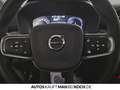 Volvo XC40 T5 Recharge Inscriptio.STHz LED SHz PDC/CAM Grau - thumbnail 12