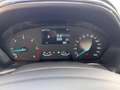 Ford Puma Puma 1.5 ecoblue Titanium s Grigio - thumbnail 14