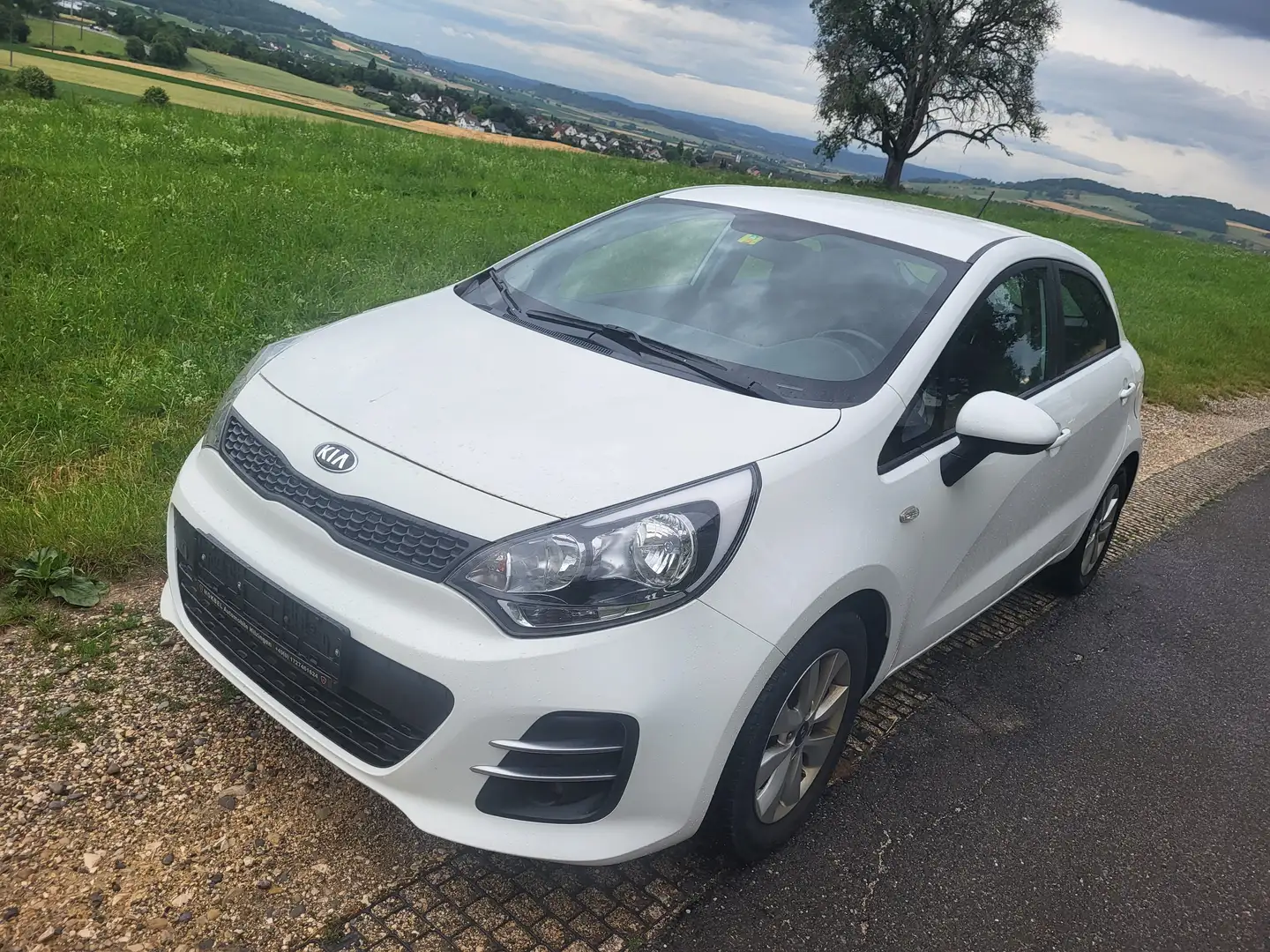 Kia Rio 1.2 Sensation! Klima ALU Euro 6 Blanco - 1