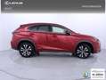 Lexus NX 300h 2.5 Premium Plus 4WD Rojo - thumbnail 22