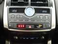 Lexus NX 300h 2.5 Premium Plus 4WD Rojo - thumbnail 21