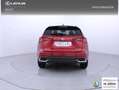 Lexus NX 300h 2.5 Premium Plus 4WD Rojo - thumbnail 4