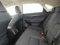 Lexus NX 300h 2.5 Premium Plus 4WD Rojo - thumbnail 12