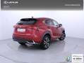 Lexus NX 300h 2.5 Premium Plus 4WD Rojo - thumbnail 23