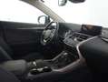 Lexus NX 300h 2.5 Premium Plus 4WD Rojo - thumbnail 16