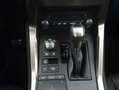 Lexus NX 300h 2.5 Premium Plus 4WD Rojo - thumbnail 20
