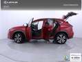 Lexus NX 300h 2.5 Premium Plus 4WD Rojo - thumbnail 26