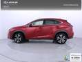 Lexus NX 300h 2.5 Premium Plus 4WD Rojo - thumbnail 3