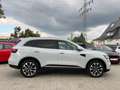Renault Koleos Limited 4x4 1J.Garantie,Service & Tüv Neu Weiß - thumbnail 7