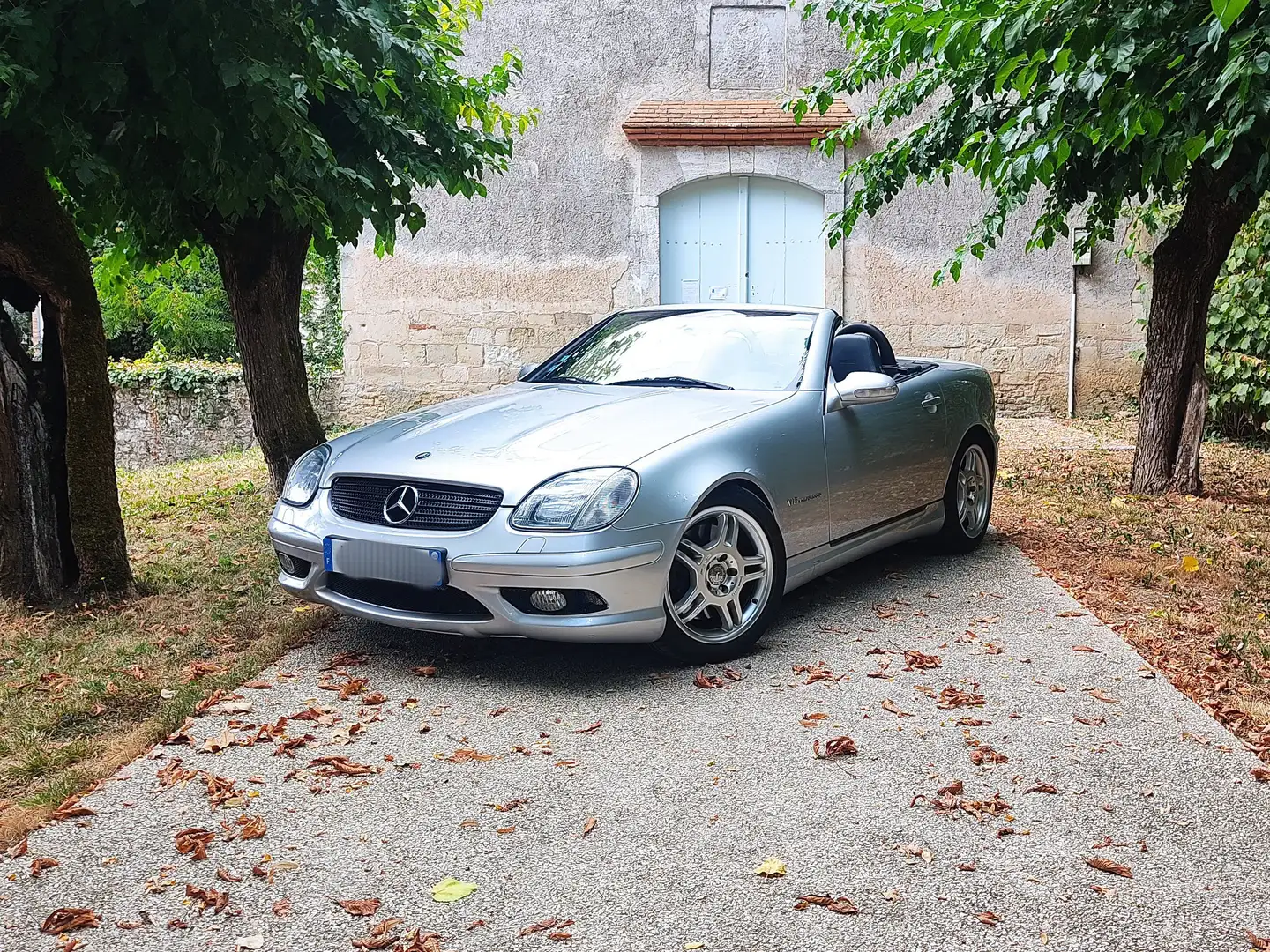Mercedes-Benz SLK 32 AMG SLK 32 AMG A Stříbrná - 1
