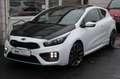 Kia ProCeed / pro_cee'd pro cee'd  1.6 TGDI GT-Track R-Kamera*Pano*Xenon Blanc - thumbnail 2