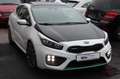 Kia ProCeed / pro_cee'd pro cee'd  1.6 TGDI GT-Track R-Kamera*Pano*Xenon Blanc - thumbnail 4