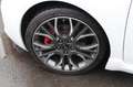 Kia ProCeed / pro_cee'd pro cee'd  1.6 TGDI GT-Track R-Kamera*Pano*Xenon Blanc - thumbnail 23