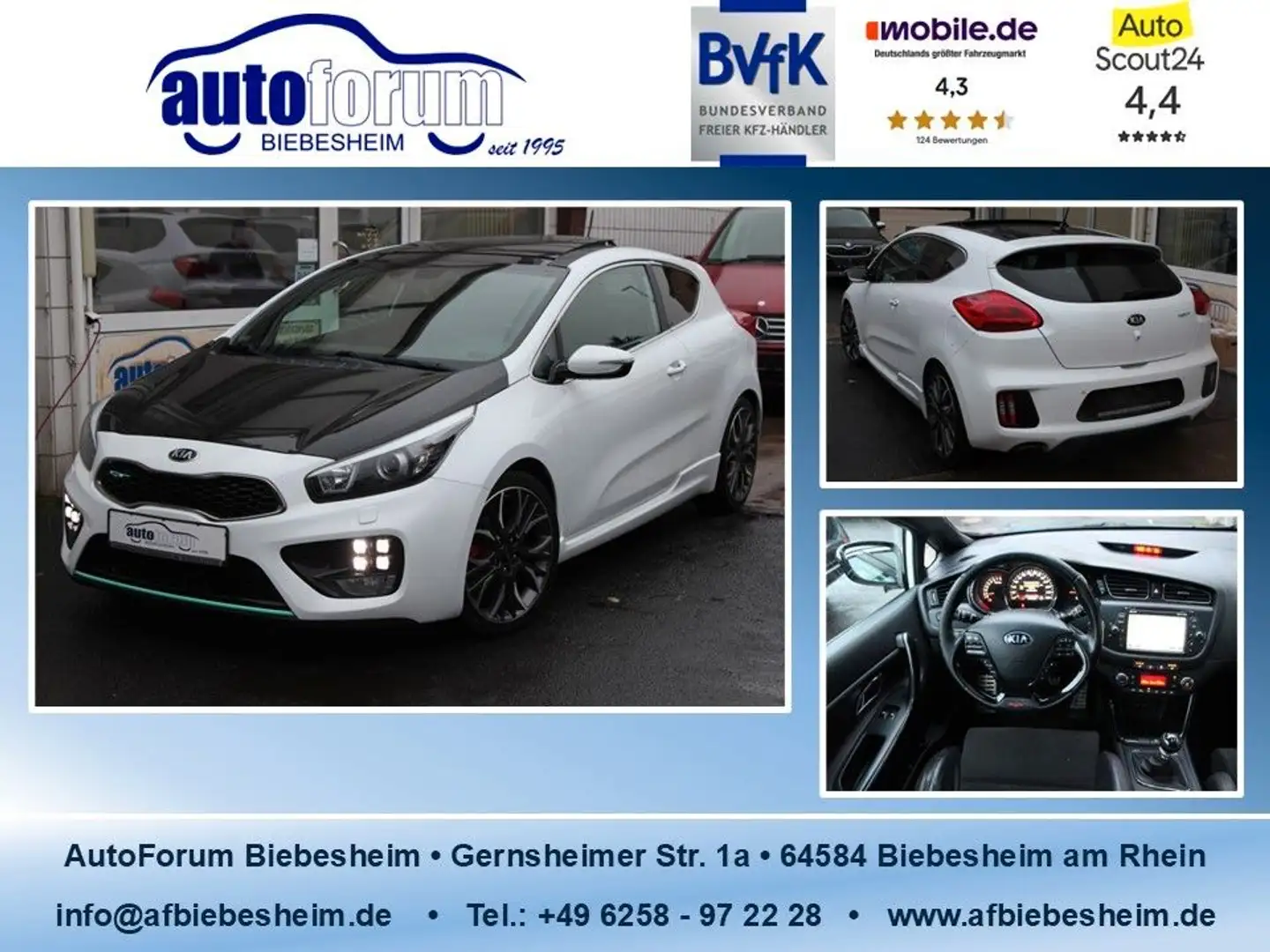 Kia ProCeed / pro_cee'd pro cee'd  1.6 TGDI GT-Track R-Kamera*Pano*Xenon Blanc - 1