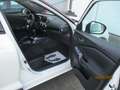 Nissan Juke Juke DIG-T 117 Acenta Weiß - thumbnail 12