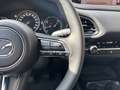 Mazda CX-30 Exclusive 2,5L 140PS*BOSE*Matrix-LED*360°Kamera*AC Grau - thumbnail 10