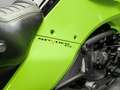 Can Am Spyder F3-S SE6 ACE 1330 Green - thumbnail 13
