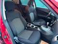 Nissan Juke Juke 1,6 Acenta Aut. Pickerl 2/2027+4 Rot - thumbnail 10