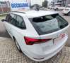 Skoda Octavia 1.0 e-TEC DSG Wagon Executive Blanco - thumbnail 23