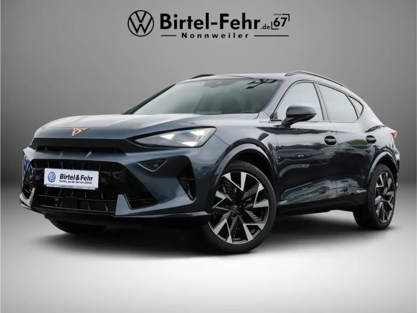 CUPRA Formentor VZ 2.0 TSI  4Drive DSG Matrix LED AHK Grau - 1