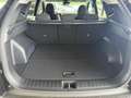 Hyundai TUCSON NX4 GO 1,6 T-GDi 2WD 48V DCT  160 PS / Panorama... Rot - thumbnail 4