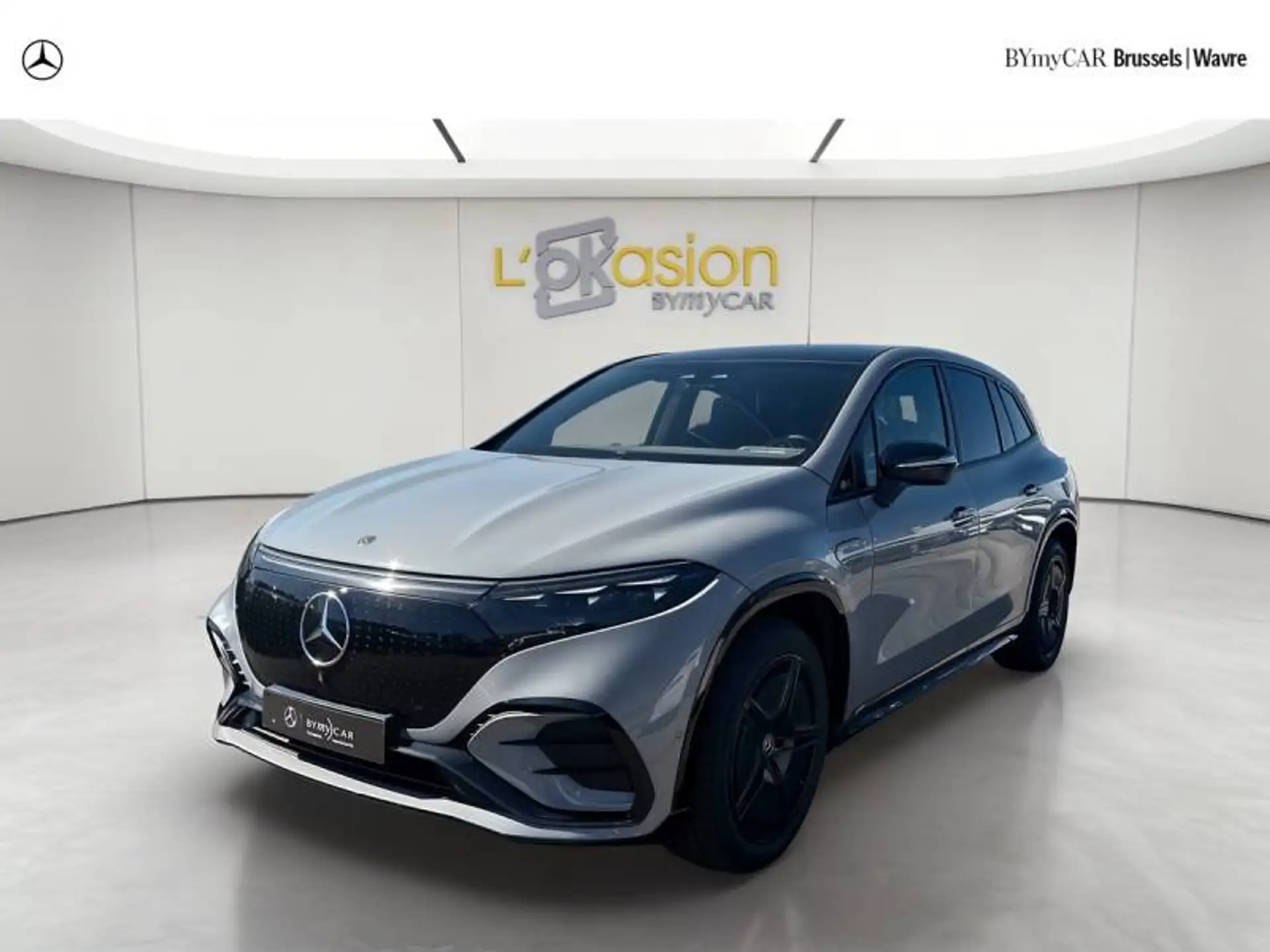 Mercedes-Benz EQS SUV EQS SUV 450+ 2024 회색 사진 1