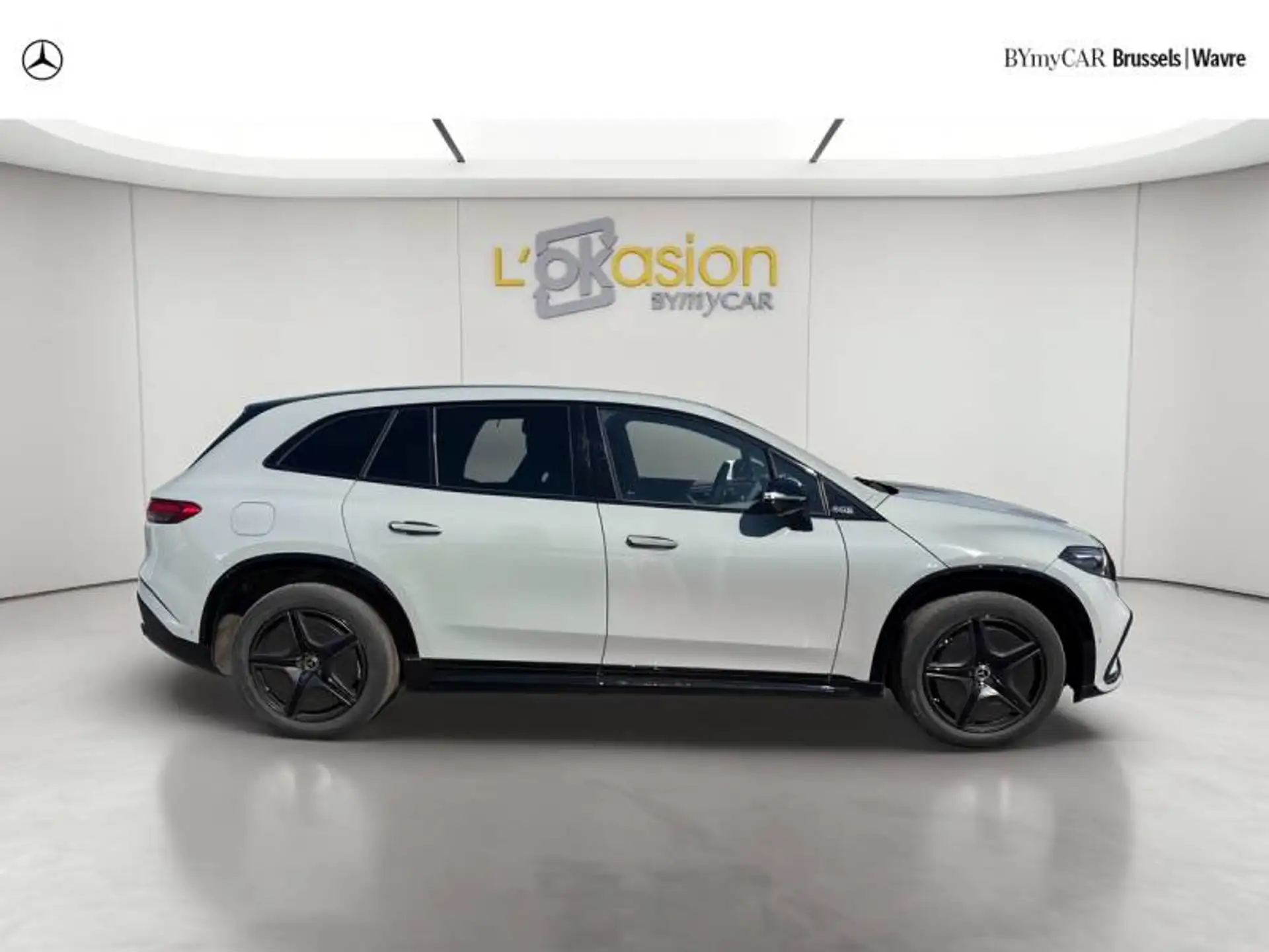 Mercedes-Benz EQS SUV EQS SUV 450+ 2024 회색 사진 2