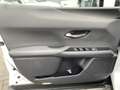 Lexus UX 250h Luxury Line LEDER STOELVERW BOCHTVERL NAVI KEYLESS Wit - thumbnail 18