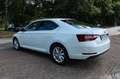 Skoda Superb Lim. Style 2.0 TDI Navi Bi-Xen Kamera SHZ Blanc - thumbnail 13