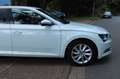 Skoda Superb Lim. Style 2.0 TDI Navi Bi-Xen Kamera SHZ Blanc - thumbnail 23
