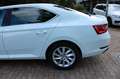 Skoda Superb Lim. Style 2.0 TDI Navi Bi-Xen Kamera SHZ Blanc - thumbnail 21
