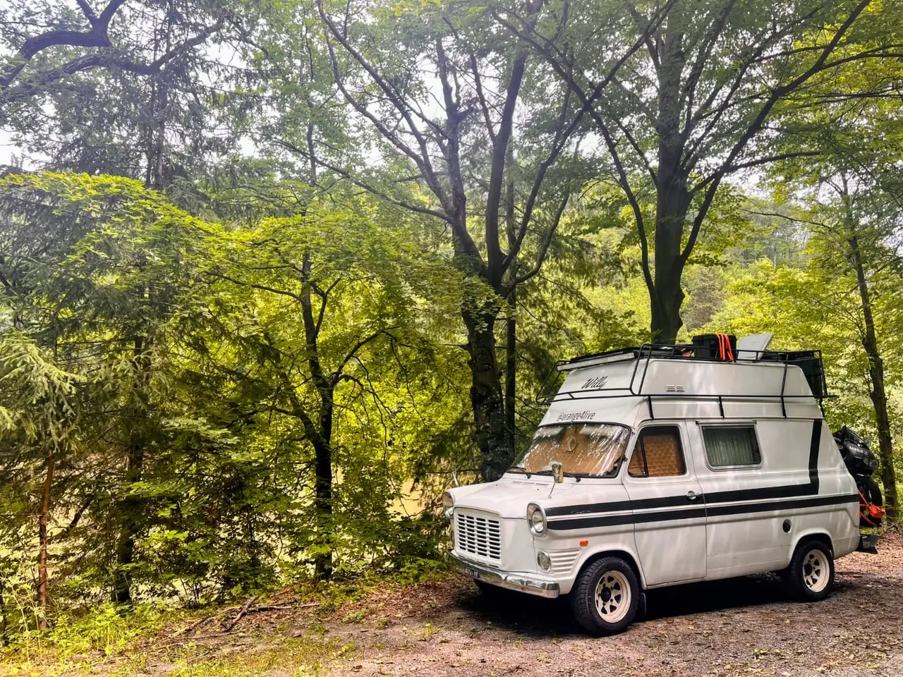 Ford Transit Mk1, foto 2