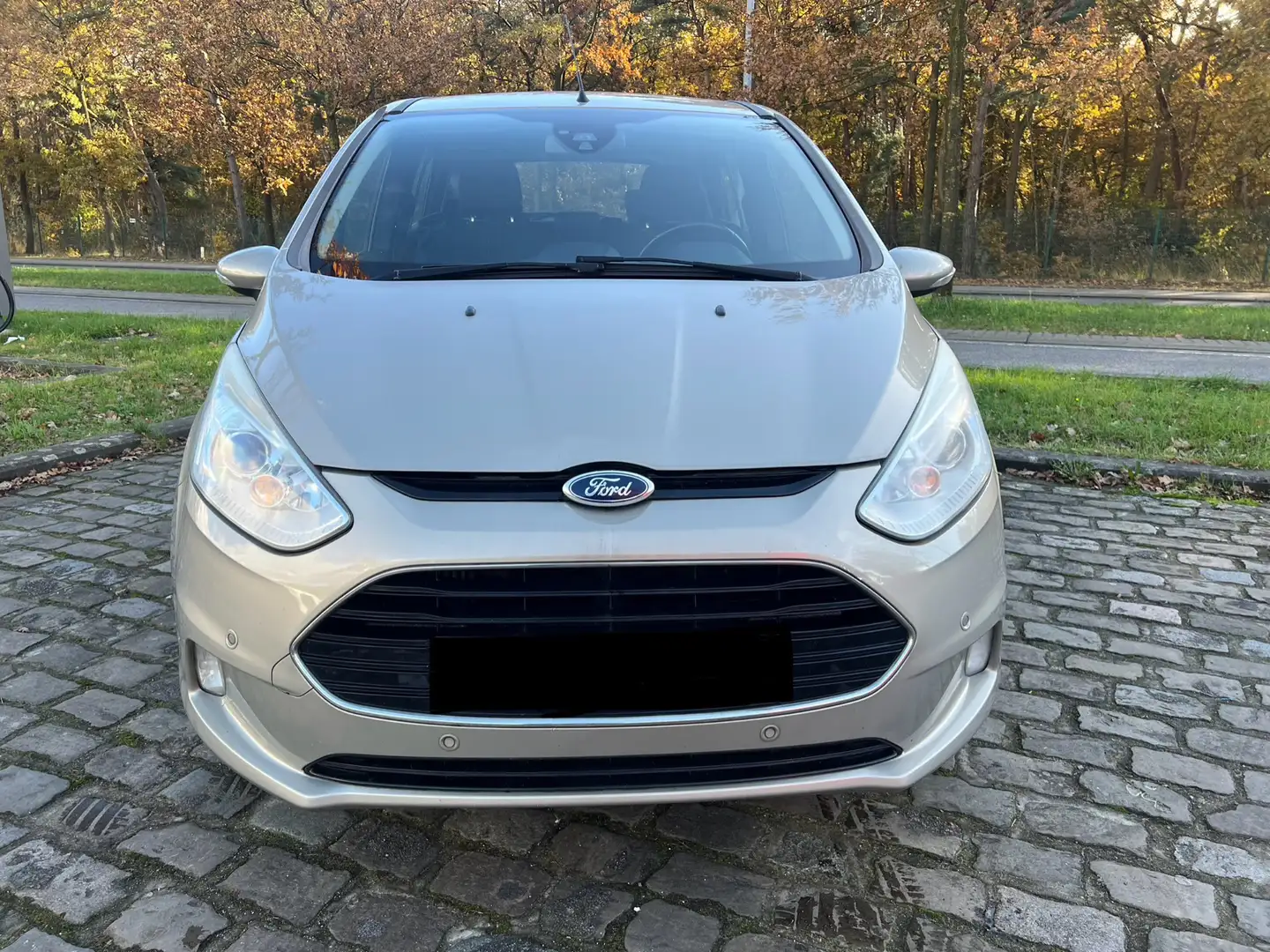Ford B-Max 1.0 EcoBoost Titanium - 2