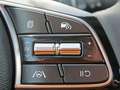 Kia Ceed SW / cee'd SW Navi DAB+ SHZ LHZ Grau - thumbnail 19