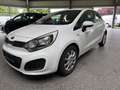 Kia Rio 1.4i Edition 7 LPG + Benzin KLima 2.Hand Blanc - thumbnail 1