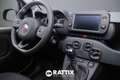 Fiat Panda 1.0 Firefly Hybrid 70CV Cross 5p.ti Verde - thumbnail 14