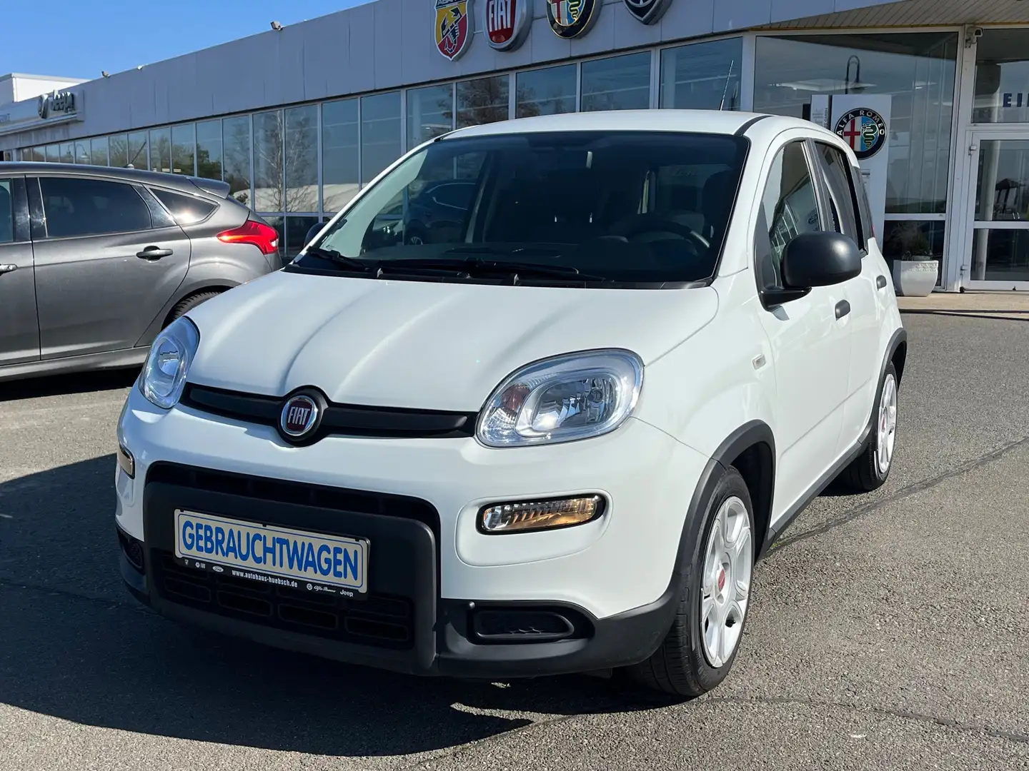 Fiat Panda 1.0 Style Paket Blanc - 1