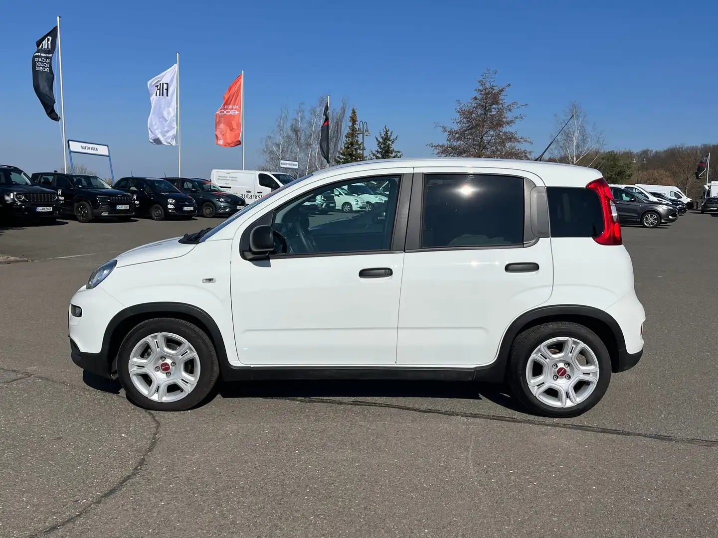 Fiat Panda 1.0 Style Paket Blanc - 2