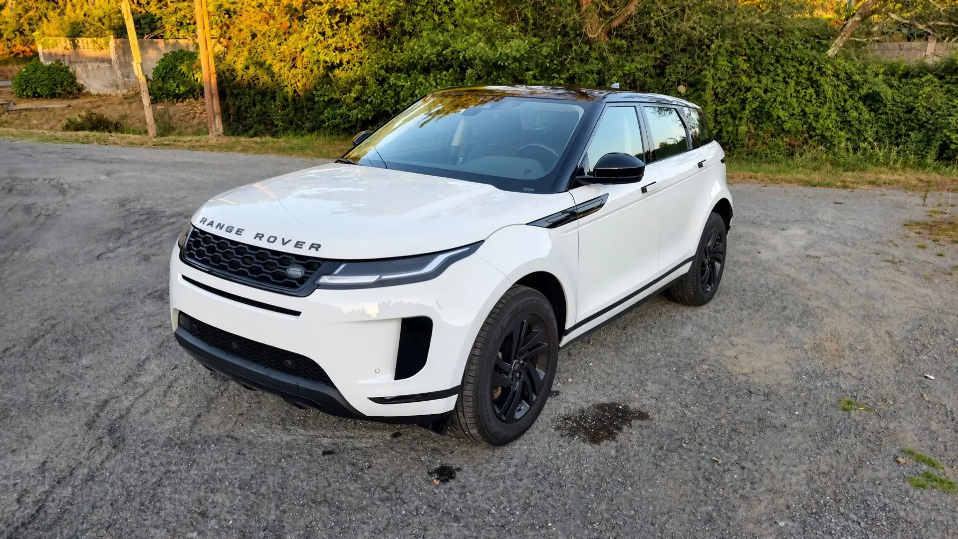 Land Rover Range Rover Evoque 2.0 I4 MHEV HSE AWD Aut. 200 - 2
