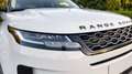 Land Rover Range Rover Evoque 2.0 I4 MHEV HSE AWD Aut. 200 - thumbnail 14