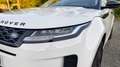 Land Rover Range Rover Evoque 2.0 I4 MHEV HSE AWD Aut. 200 - thumbnail 15