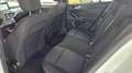 Ford Focus ST-Line*/ LED-SCHEINWERFER/KAMERA/PDC/SPORTSITZE/* Weiß - thumbnail 13