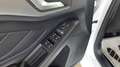 Ford Focus ST-Line*/ LED-SCHEINWERFER/KAMERA/PDC/SPORTSITZE/* Weiß - thumbnail 17