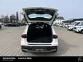 Mercedes-Benz EQB 250 EQB 250+ Progressive AHK Kamera "neues Modell" LED Weiß - thumbnail 16