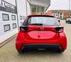 Mazda 2 PRIME LINE Rouge - thumbnail 9