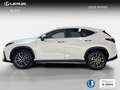 Lexus NX 450h+ Premium+ 4WD Blanc - thumbnail 4