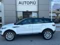 Land Rover Range Rover Evoque Range Rover Evoque I 2016 5p 2.0 td4 Pure 150cv Bianco - thumbnail 3