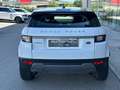 Land Rover Range Rover Evoque Range Rover Evoque I 2016 5p 2.0 td4 Pure 150cv Bianco - thumbnail 5